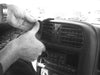 ProClip Fahrzeughalter 852534 - Mittelbefestigung - Chevrolet Pickup S10 98-04, GMC Sonoma 98-04, GMC Envoy 99-01 und weitere
