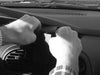 ProClip Fahrzeughalter 852704 - Mittelbefestigung - Dodge Neon 00-05, Chrysler Neon 00-02