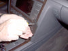 ProClip Fahrzeughalter 853180 - Winkelbefestigung - Volkswagen Phaeton 03-10