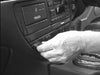 ProClip Fahrzeughalter für Rechtslenker 652722 - Winkelbefestigung - Jaguar S-Type 99-01